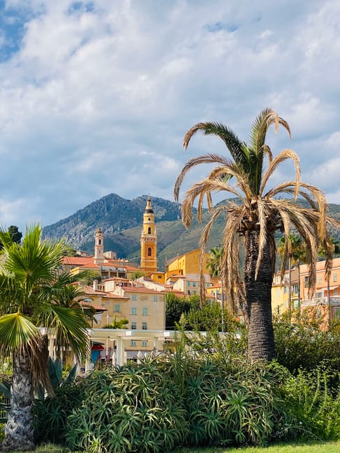 A scene featuring a variety of tropical and subtropical plants, including a large, weathered palm tree with some brown, drooping fronds, and smaller green palm-like plants with spiky leaves in the foreground. Behind the plants, there is a collection of residential buildings with light-colored facades, some with balconies, and rooftops in shades of red and beige. In the background, a prominent church tower with a clock and a bell, painted in yellow and brown, rises above the buildings, set against a backdrop of lush green mountains under a partly cloudy sky with patches of blue. The image captures an outdoor suburban or small-town environment, with the tree and plants situated on a patch of garden or park area adjacent to the houses. The scene suggests a warm climate, typical of Mediterranean or similar regions, relating to home relocation or packing and moving procedures in such areas, with Hackney Man and Van providing professional removals services that may include transport to similar environments.